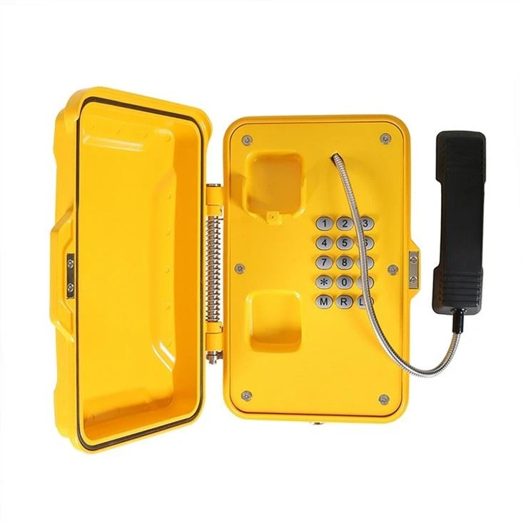 IP / VoIP Weatherproof Telephone Case